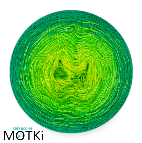 6.png