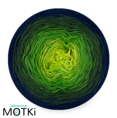 5.png