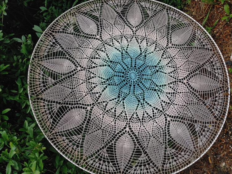 20220613_114126.jpg