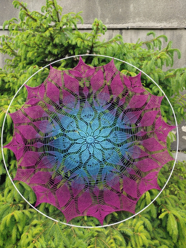 20220601_124021 (1).jpg