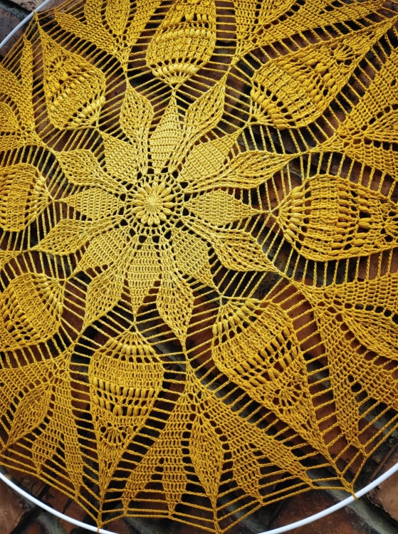 289293098_5204366702986451_8393511782507984341_n.jpg