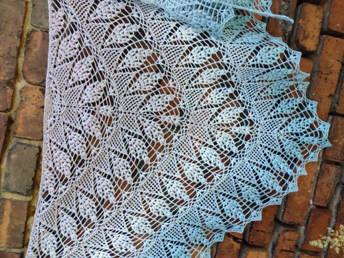 20220627_091819.jpg