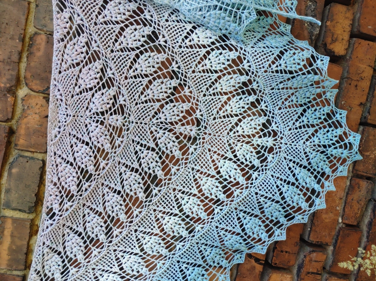 20220627_091819.jpg