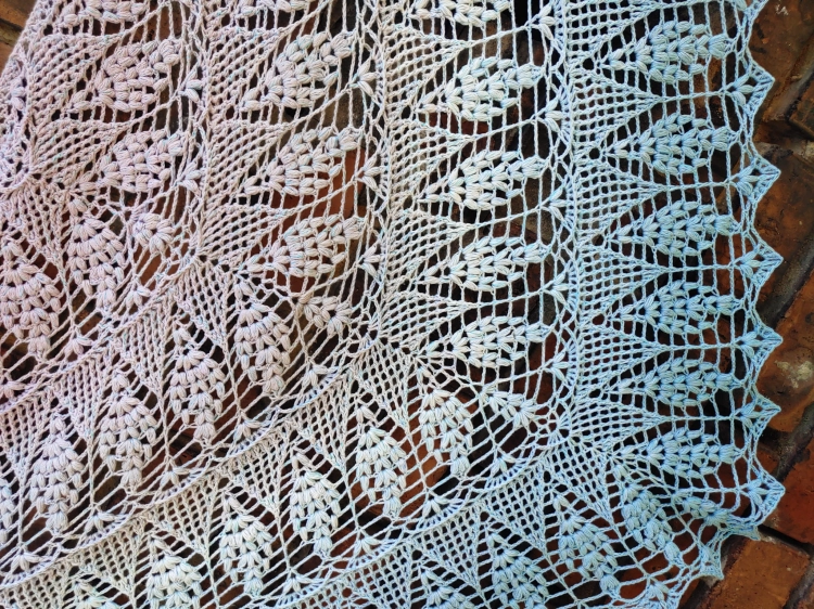 20220627_091950.jpg