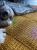 received_764281447950210.jpeg