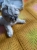 received_779994373138258.jpeg