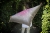 DSC_0121.jpg