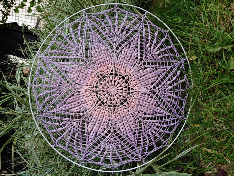 20221005_164324 (3).jpg