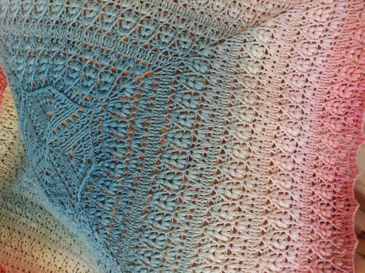 20230117_114838.jpg