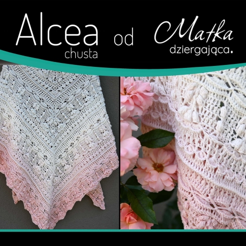 Alcea chusta.jpg