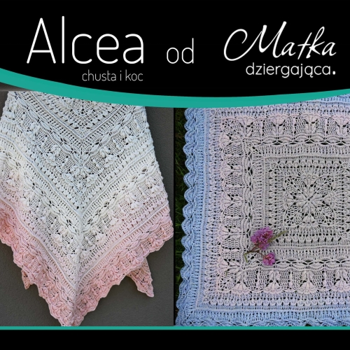 Alcea chusta i koc.jpg