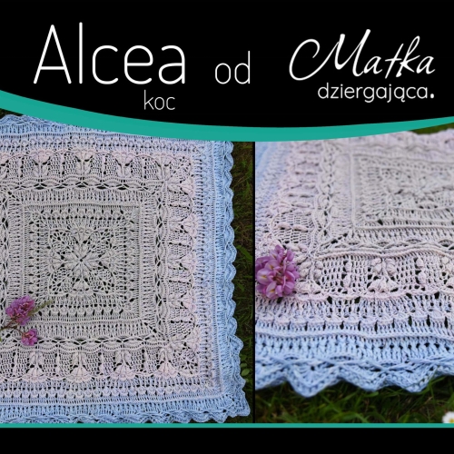 Alcea koc.jpg