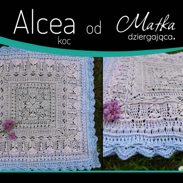 Alcea koc.jpg