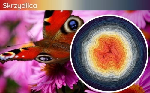 (10) Motek Ombre b/ a Skrzydlica: jasny koral/ mango/ intensywny żółty/ jasny żółty/ popielaty/ jasny szary/ szary/ stalowy/ denim/ fiolet