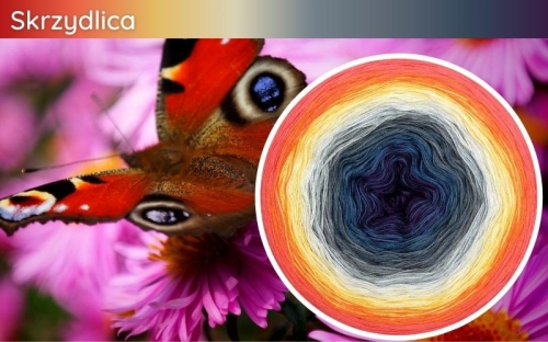 (10) Motek Ombre b/ a Skrzydlica: fiolet/ denim/ stalowy/ szary/ jasny szary/ popielaty/ jasny żółty/ intensywny żółty/ mango/ jasny koral