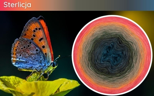 (10) Motek Ombre b/ a Sterlicja: petrol/ ciemny denim/ ciemny szary/ wojskowa zieleń/ khaki/ beżowo-szary/ glina/ mango/ jasny koral/ koral