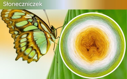 (10) Motek Ombre b/ a Słoneczniczek: kurkuma/ żółty/ słoneczny żółty/ jasny żółty/  pudrowy beż/ biały/ jasna pistacja/ mięta/ liściasta zieleń/ kiwi