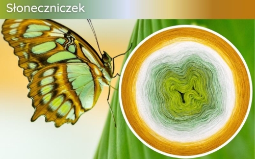(10) Motek Ombre b/ a Słoneczniczek: kiwi/ liściasta zieleń/ mięta/ jasna pistacja/ biały/  pudrowy beż/ jasny żółty/ słoneczny żółty/ żółty/ kurkuma