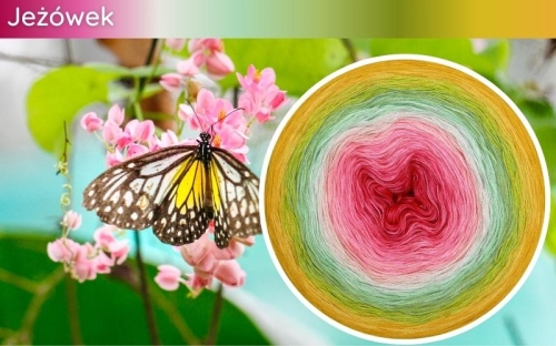 (10) Motek Ombre b/ a Jeżówek: jasna fuksja/ magneta/ landrynkowy róż/ jasny róż/ jasna pistacja/ mięta/ liściasta zieleń/ kiwi/ intensywny żółty/ żółty