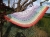 350518818_1674333076320329_1911936131955455056_n.jpg