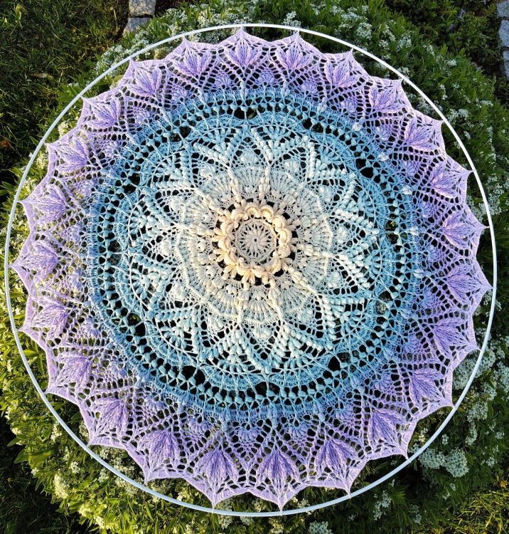 348356692_621213103373964_9197222392742403439_n.jpg