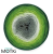 7954-b-106.png