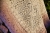 443710838_10231625354727782_7850860158960704887_n.jpg