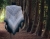 442426931_7918559551529861_8010552414542915638_n.jpg