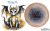1000024986.png