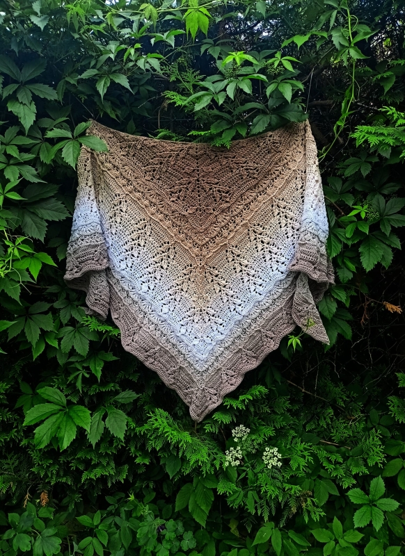 Zimowy poranek Dorotka Pikotka.jpg