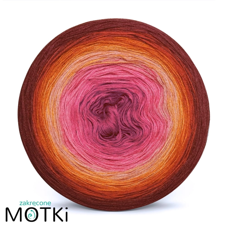 jakiś tulipan 1.jpg