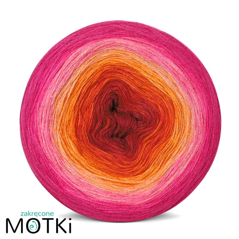 jakiś tulipan 2.jpg