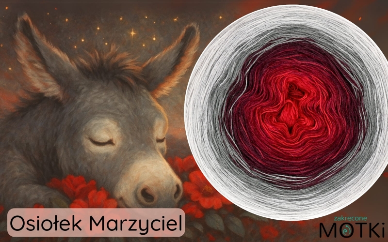 dzień motka (1600 x 1000 px) (12).jpg