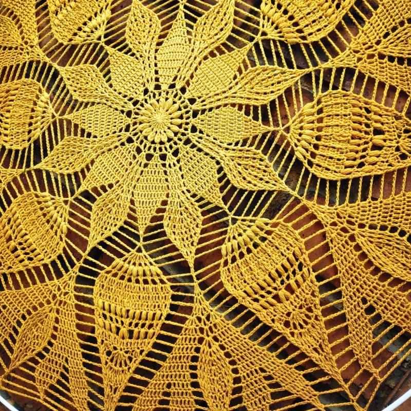 r33 plaster miosy Aga Agula Arnika od Zagubione Szydełko (9).jpg