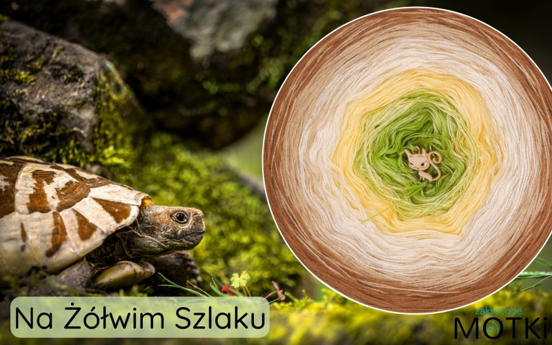 dzień motka (1600 x 1000 px) (24).jpg