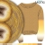 ginger-dream-a.jpg