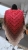 625625306_26092771870362399_6212038884564461436_n.jpg