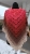 626949940_26092770397029213_3214213264592802041_n.jpg