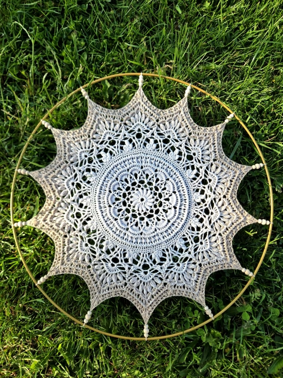 1000011925.jpg