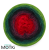 15870-lato-10.png