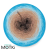 14322-7b.png