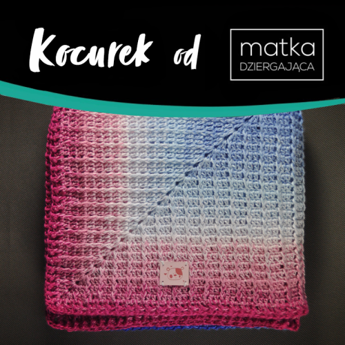 kocurek.png