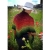 17446-received-295598638975139.jpeg