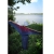 17442-received-1479963359022537.jpeg