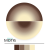MM24a (2).png