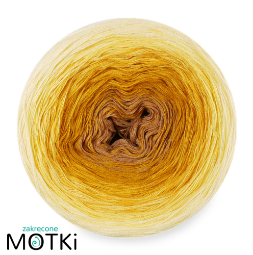 B494 (3).png
